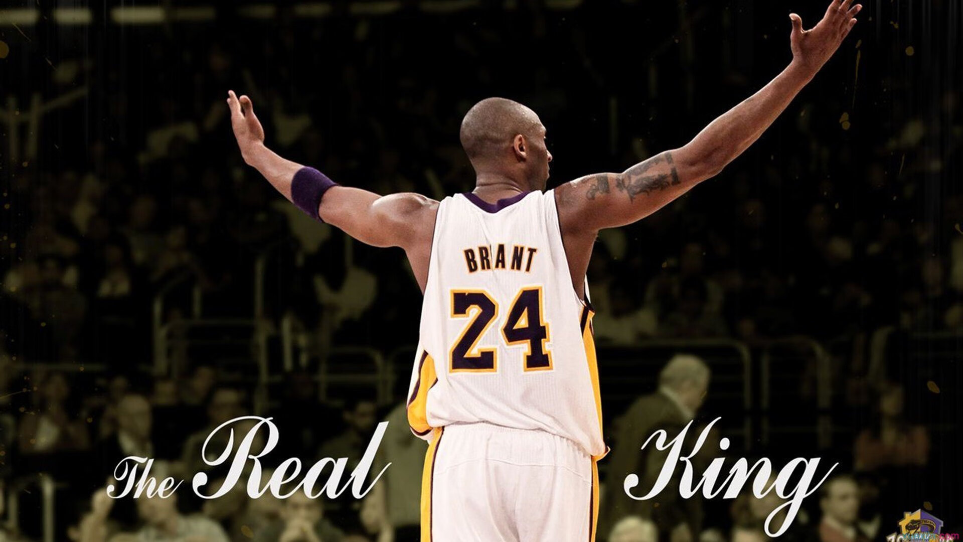 开云体育网址-广场舞音乐版权问题引关注，广场舞受法律保护吗