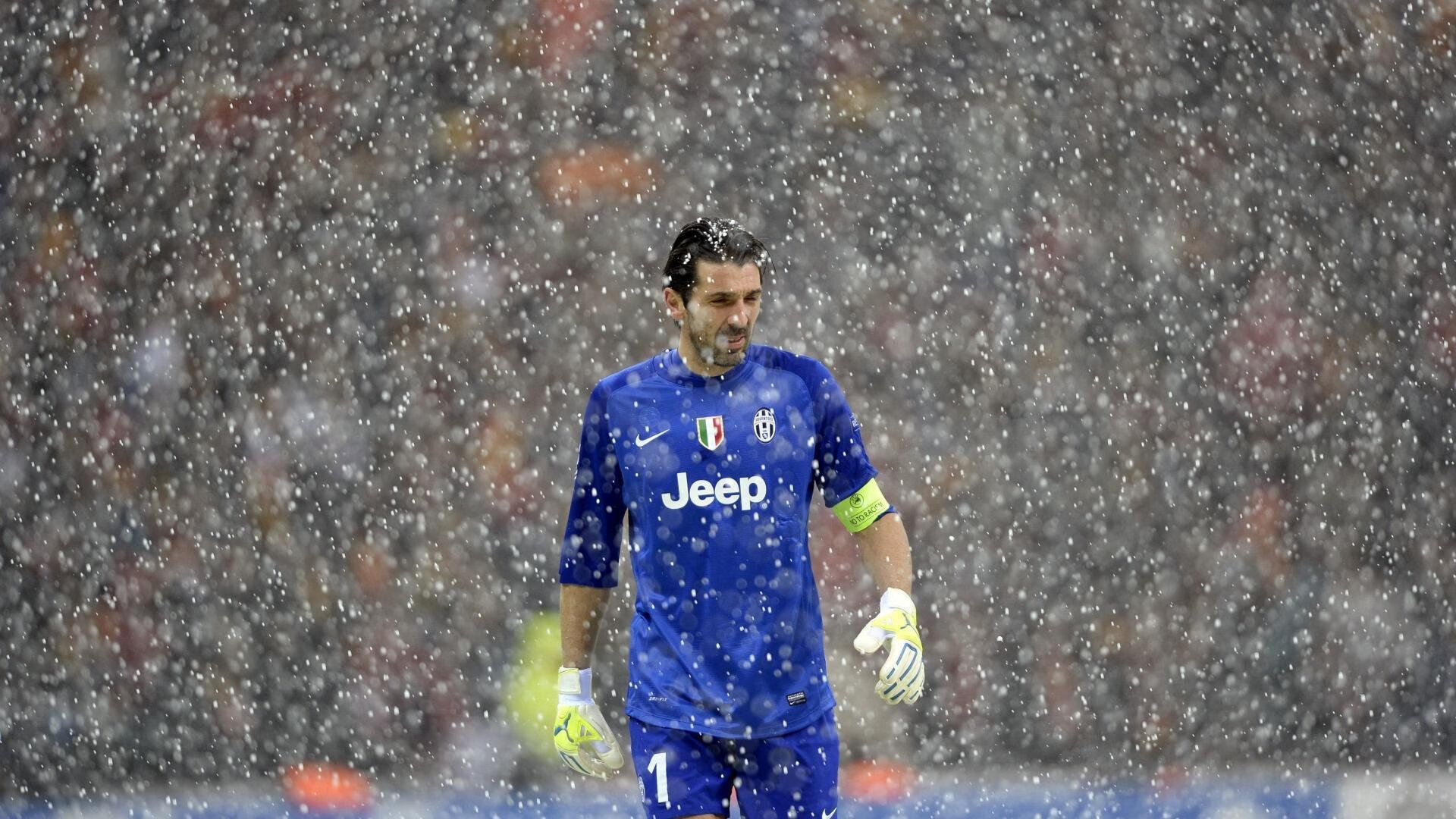 开云官方平台-沃特福德锋线火力凶猛，黄蜂军团誓夺三分，沃特福德ds